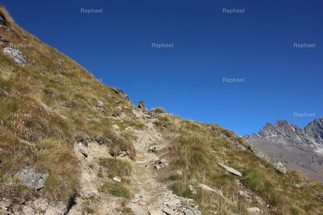 IMG_3625 | Raphael - Realisiert mit Pictrs.com