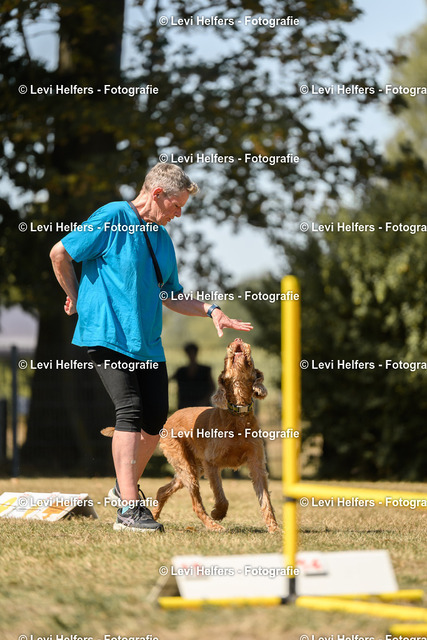 _DSC7140 | levihelfersfotografie