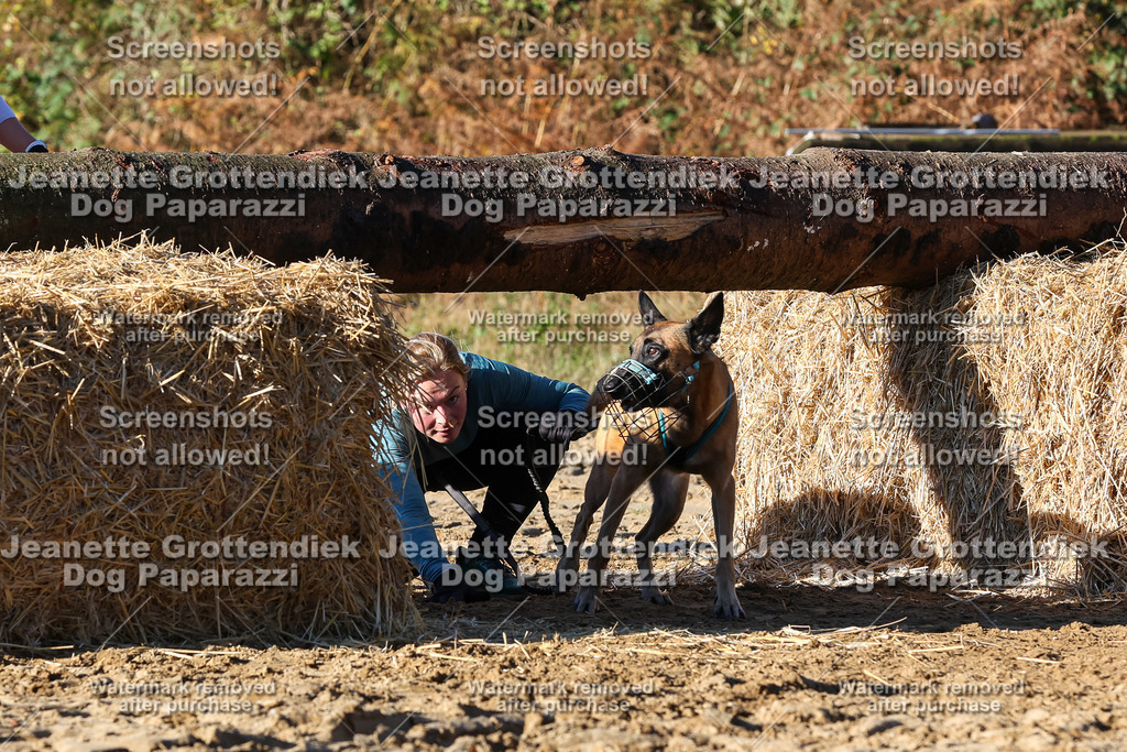 Dog Paparazzi - Strongdog 10-25-1550 | Dog Paparazzi Jeanette Grottendiek Fotografie & Videografie - Realisiert mit Pictrs.com