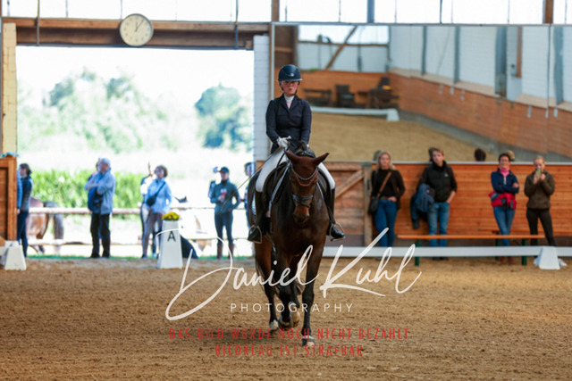 _62_4376 | Turniersportfotografie; Pferdefotografie; Dressurfotografie