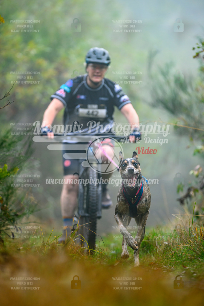 MompixPhotography_20TSB_E4_Bike-142 | PayLife