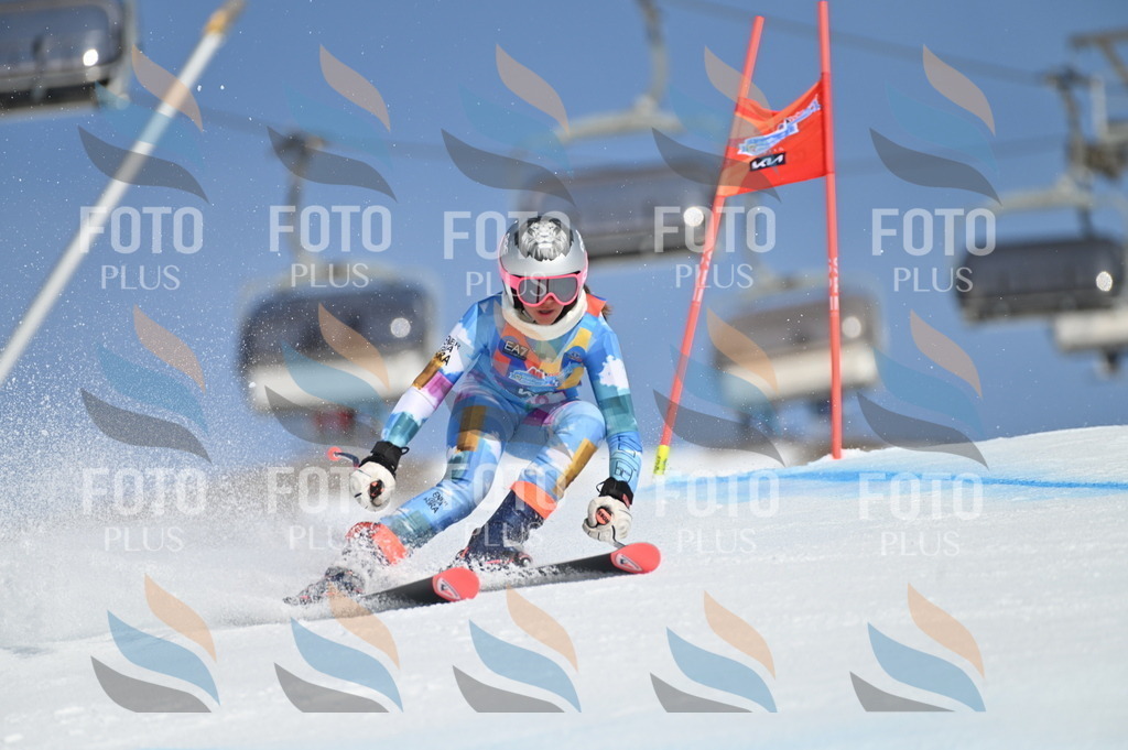 BGV_8684 | holidayphoto