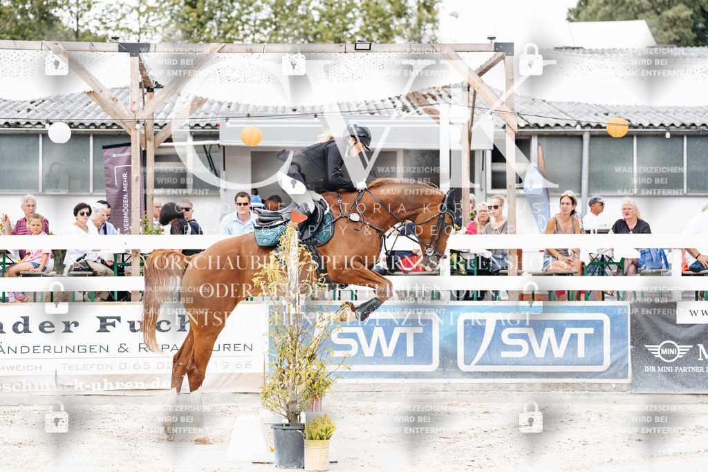 CK906120 | Turnierfotografie Pferdefotografie Trier Rheinland-Pfalz Pferdesport Reitsport Tierfotografie Sportfotografie Pferdevideo Pferdevideografie Equestrianvideography equestrianphotography  - Realisiert mit Pictrs.com