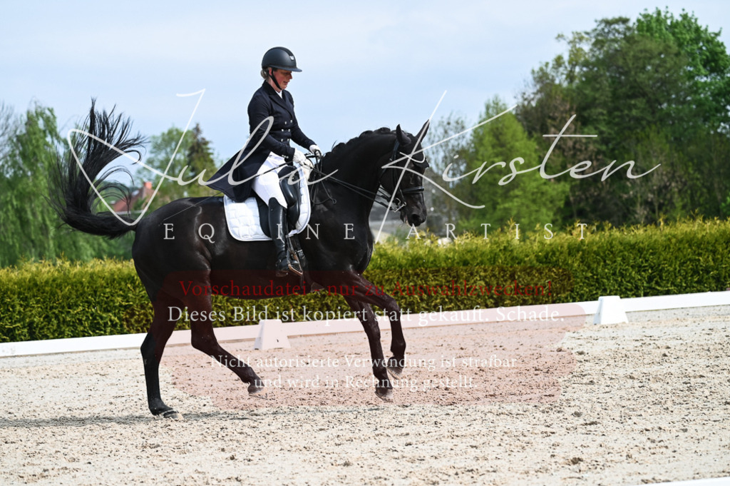 20230513_JK-Röhrsdorf-12-461-2 | Pferde- und Turnierfotografie in Westsachsen. Pferdeportraits, Auftragszeichnungen und intuitive Kunst.
