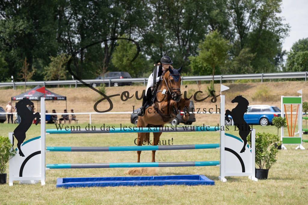 A7V01955 | Pferdefotograf