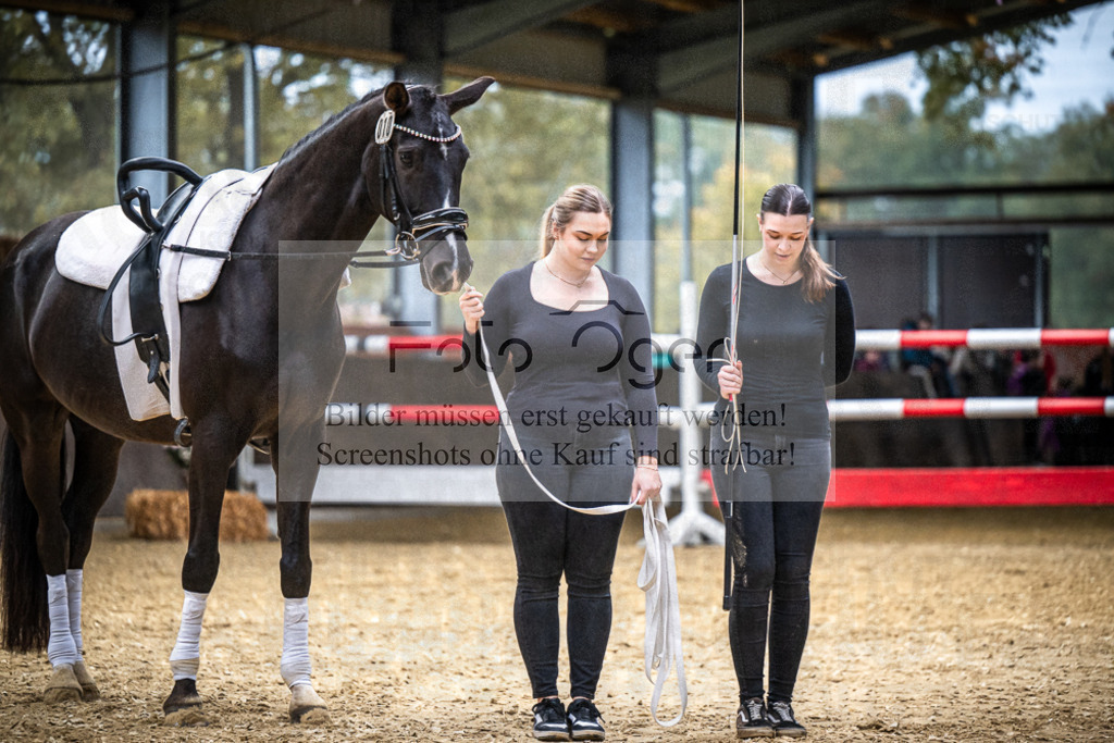 DOS_0291 | Entdecke hochwertige Reitturnierfotos von Foto Oger. Professionell, emotional und authentisch – jetzt Lieblingsmomente im Shop bestellen.Deutschlandweite Turnierfotografie. - Realisiert mit Pictrs.com