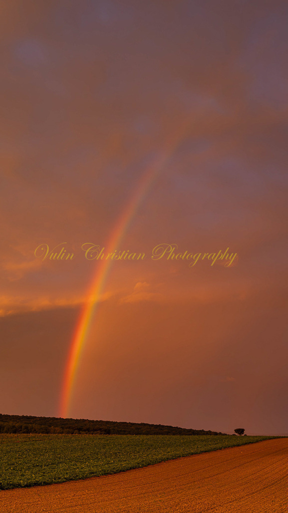 P 23 | Christian Vulin  - Realisiert mit Pictrs.com