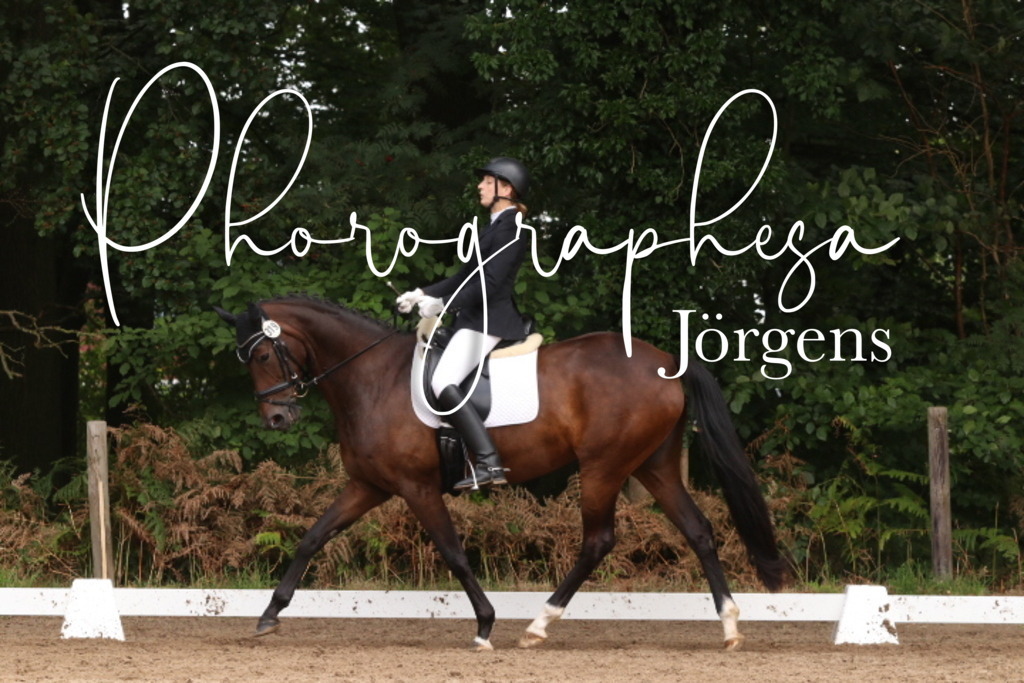 IMG_9978 | photographesa-joergens - Realisiert mit Pictrs.com