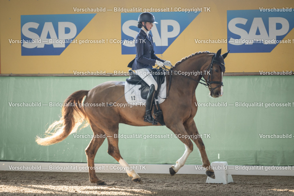 _D5A0571 | Emotionale Pferde- & People-Fotografie rund um Heidelberg, Leimen & Umgebung. Natürliche Fotos von Pferd, Mensch & Familie. Jetzt Termin sichern!