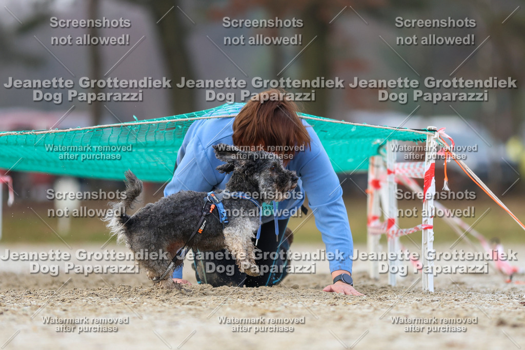 Dog Paparazzi - Strongdog North Mrz26-3748 | Dog Paparazzi Jeanette Grottendiek Fotografie & Videografie - Realisiert mit Pictrs.com