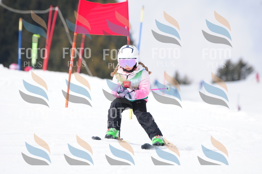 A3700 | holidayphoto