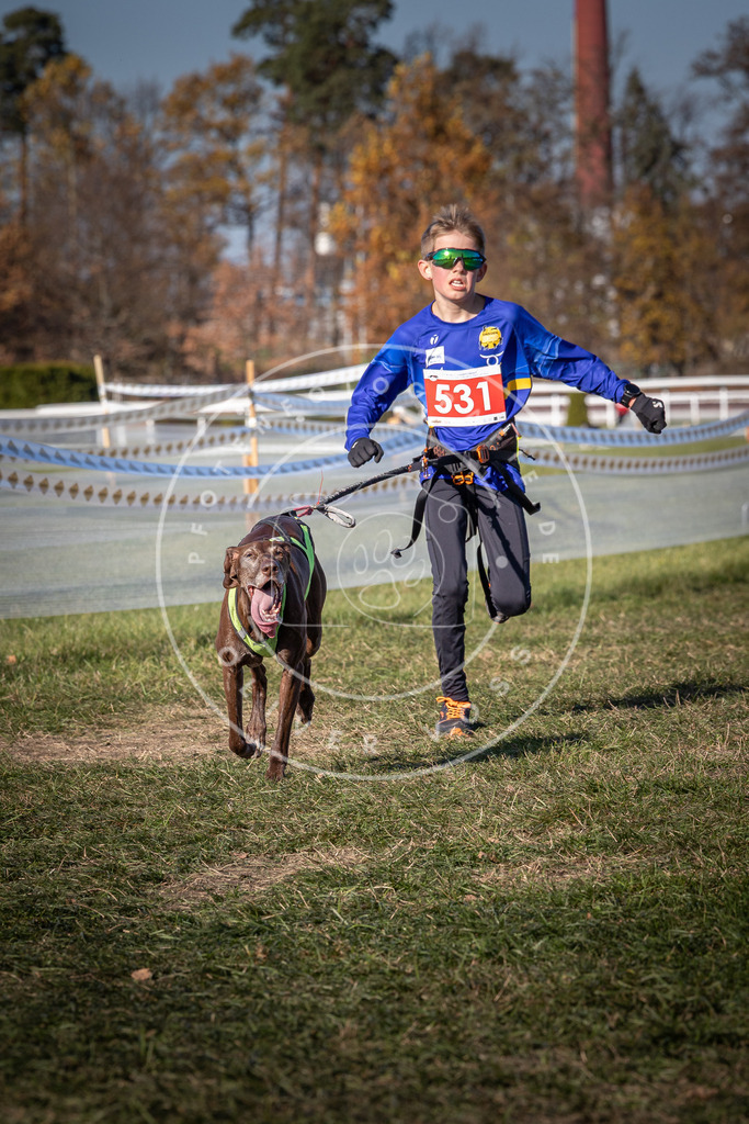 CaniXpix_0L8A7368 | Hundefotografie, Tierfotograf, Pfotenfotografie, Fotoshooting Hund, Hunde Portrait, Hundesport, Hundeportraits, Heideshooting, Hunde, Sportfotograf, Hundefotograf, Turnierhundsport, THS,  - Realisiert mit Pictrs.com