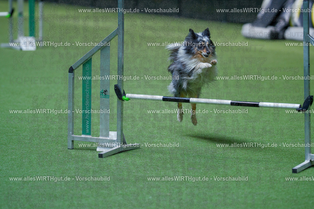 @allesWIRTHgut_Tierfotografie - www.allesWIRTHgut.de - 2604261458-7R504164 | Professionelle Tierfotografie in Mönchengladbach von Daniel Wirth (allesWIRTHgut). Liebevolle & natürliche Bilder von Hunden & Katzen für unvergessliche Erinnerungen.
