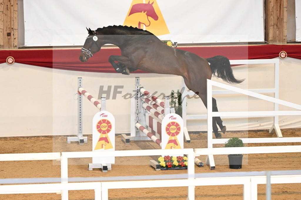 Kat.-Nr. 11 v. Conthargos_Schlamminger_3261569 | hf-fotografie - Realisiert mit Pictrs.com