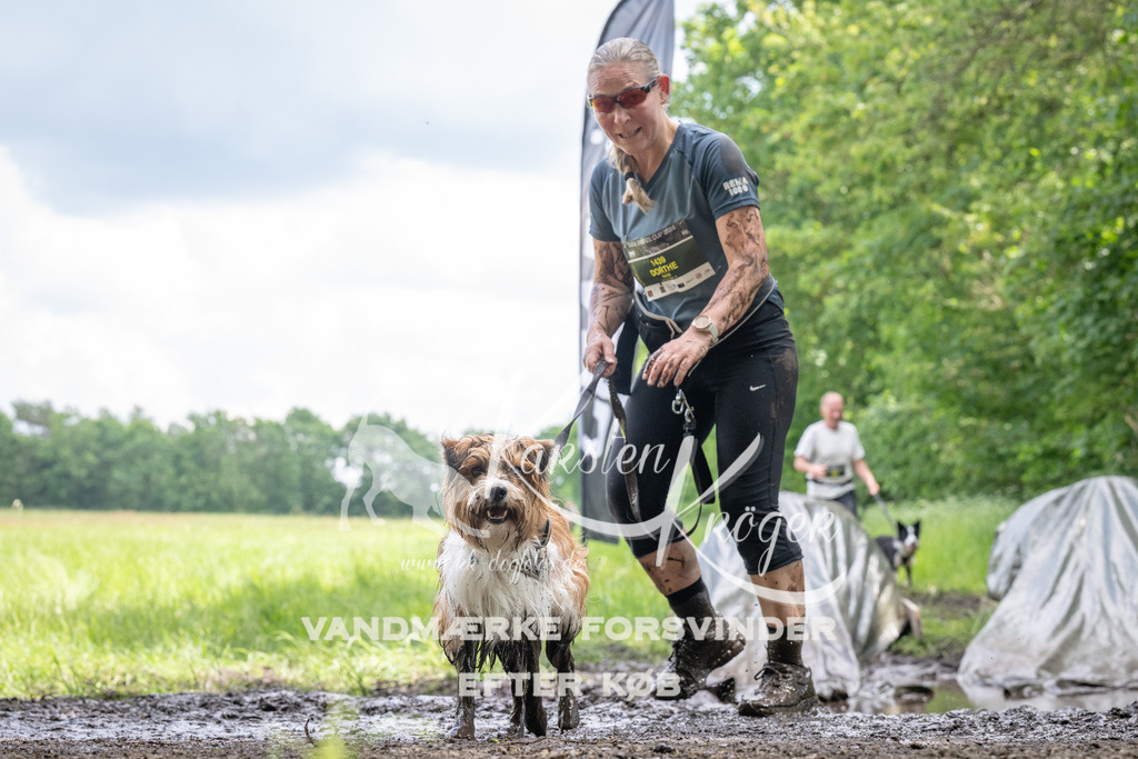 1254_ZZ94170 | kk-dogfotos