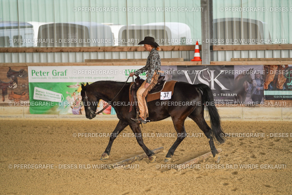 DSC01959 | Pferdegrafie