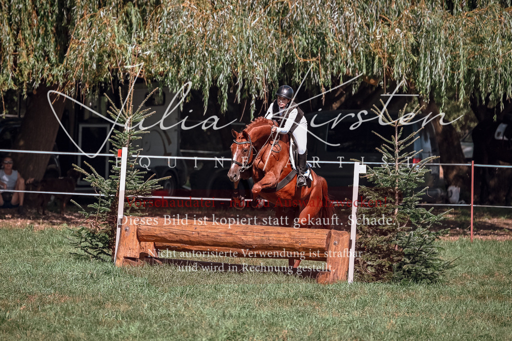 DSC_2674 | Pferde- und Turnierfotografie in Westsachsen. Pferdeportraits, Auftragszeichnungen und intuitive Kunst.