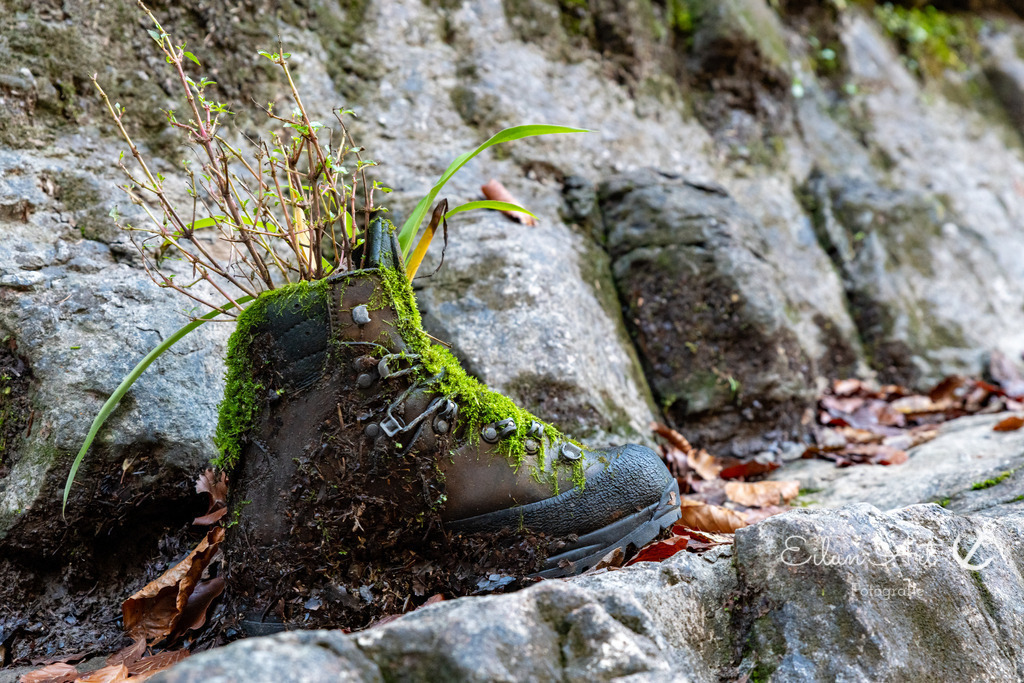 20241102-EAF_5525 | Eilun-Art-Fotografie Levke Martens, ihre Fotografin für Immobilien- und Landschaftsfotografie auf Föhr, Föhrer Motive als Poster, Leinwand, hinter Acrylglas oder stelle dir deinen eigenen Monatskalender zusammen, mit nur einem Klick