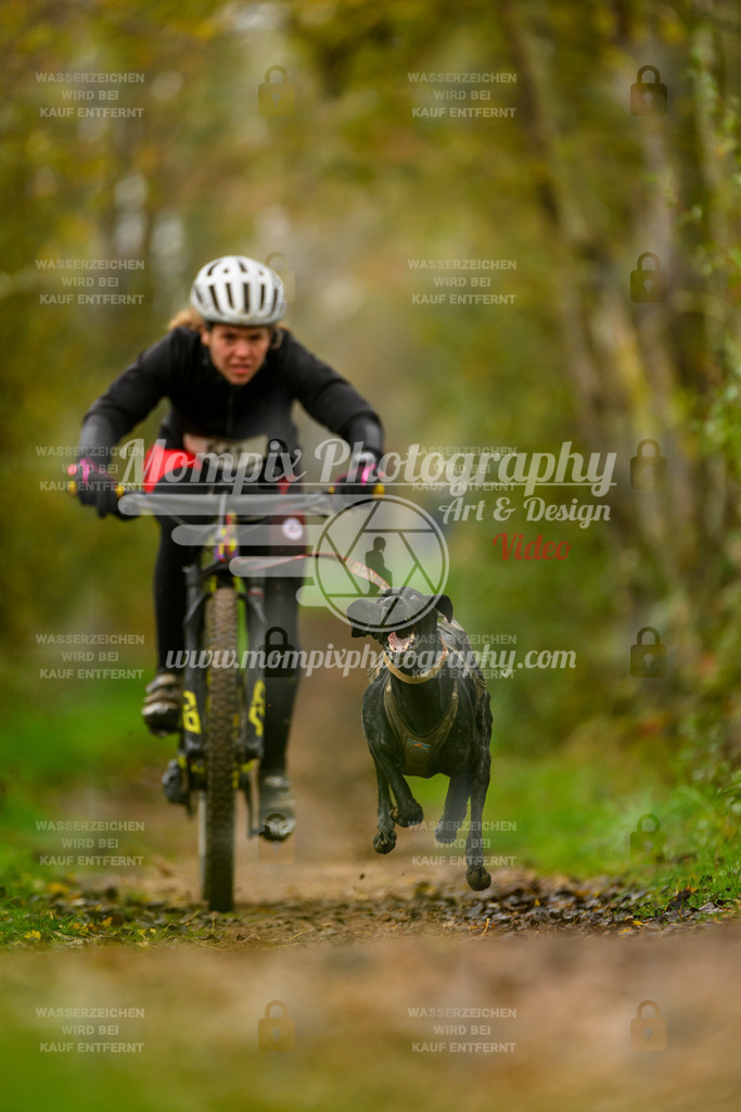 MompixPhotography_20TSB_E6_Bike-74 | PayLife