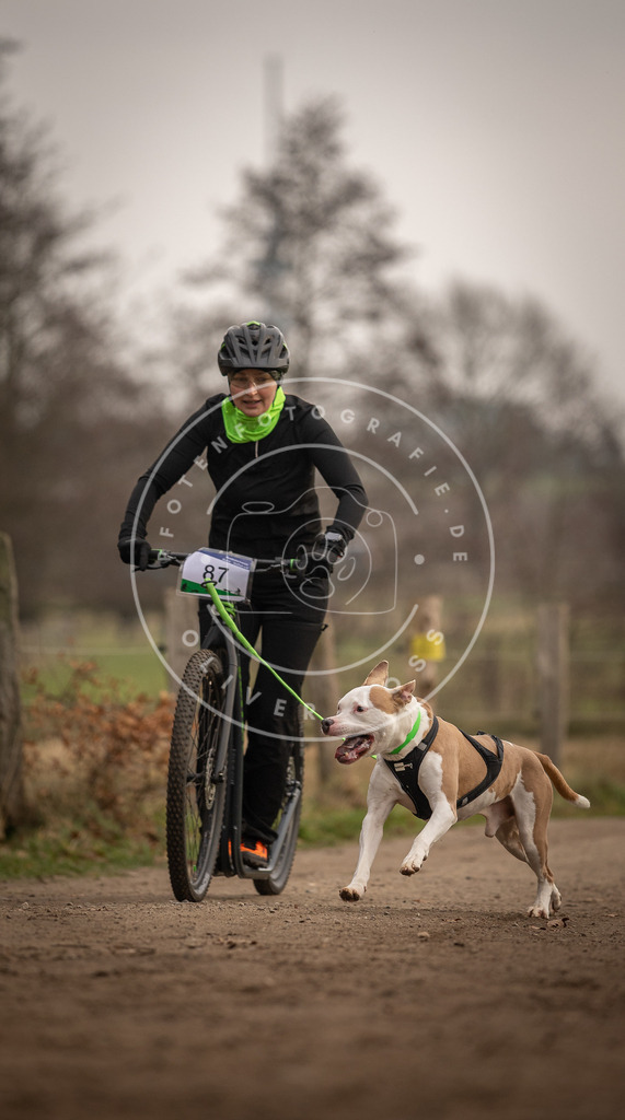 Pfotenfotografie_DV3A4128 | Hundefotografie, Tierfotograf, Pfotenfotografie, Fotoshooting Hund, Hunde Portrait, Hundesport, Hundeportraits, Heideshooting, Hunde, Sportfotograf, Hundefotograf, Turnierhundsport, THS,  - Realisiert mit Pictrs.com