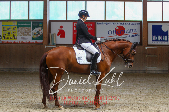 DKP43531 | Turniersportfotografie; Pferdefotografie; Dressurfotografie