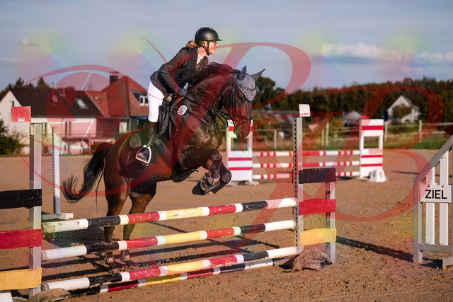 2026_10_03_Siefer-Hof_171843_Z81_16438583 | Professionelle Reitsport-, Turnier- und Eventfotografie von Robert Broda. Galerien mit ausgewählten und bearbeiteten Bildern direkt online ansehen und bestellen.