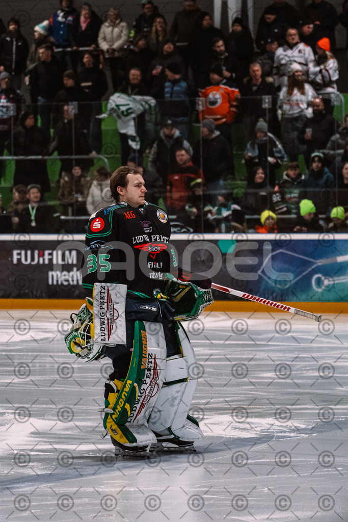 Alligators_vs_Erding_01_02_2026-01 | Höchstadt Alligators Fotogalerie: Eishockey-Action aus Franken. Professionelle Spielfotos, Portraits & Stadionbilder zum Download. Jetzt entdecken! - Realisiert mit Pictrs.com