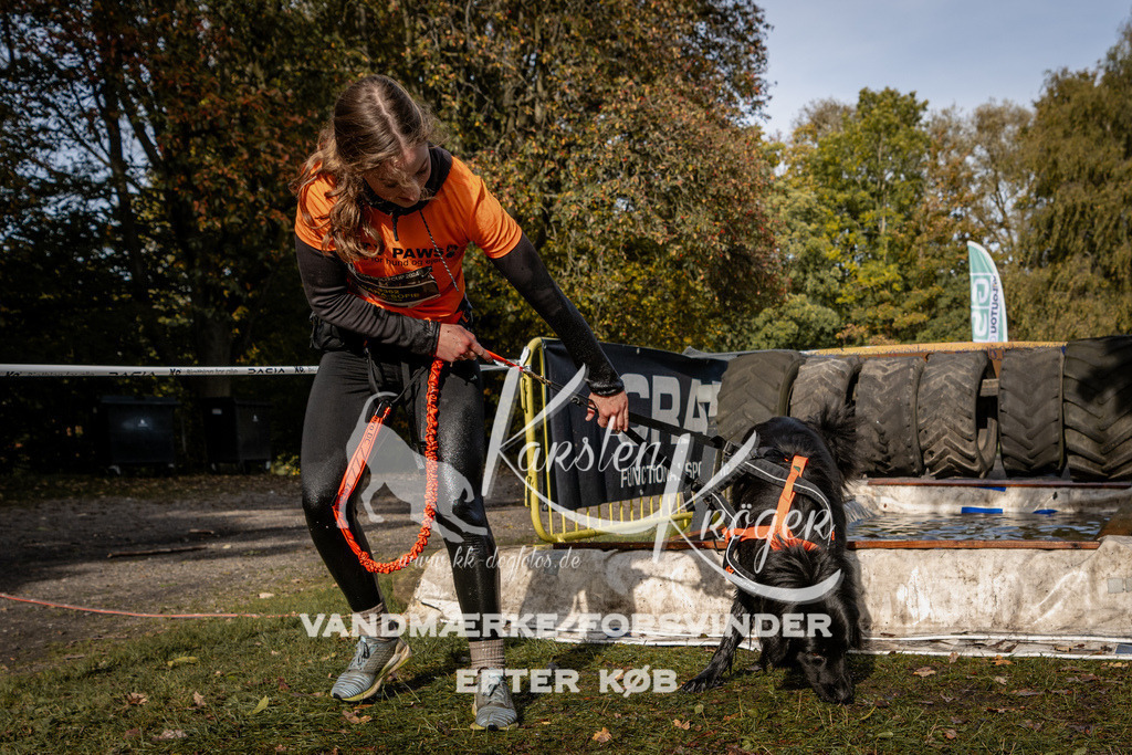 1322_ZZ92570 | kk-dogfotos