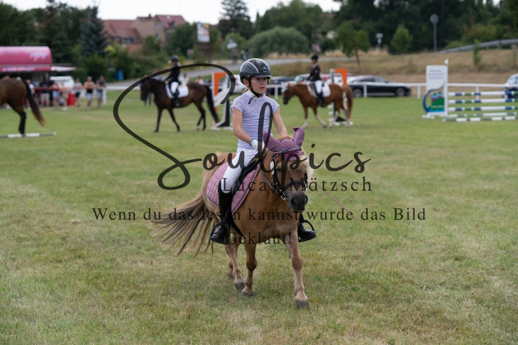 A7V00373 | Pferdefotograf