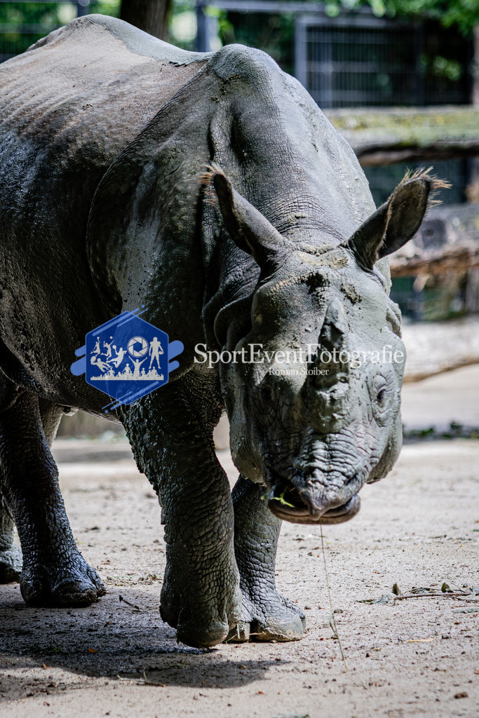 IMG_6051 | SportEventFotografie - Roman Stoiber