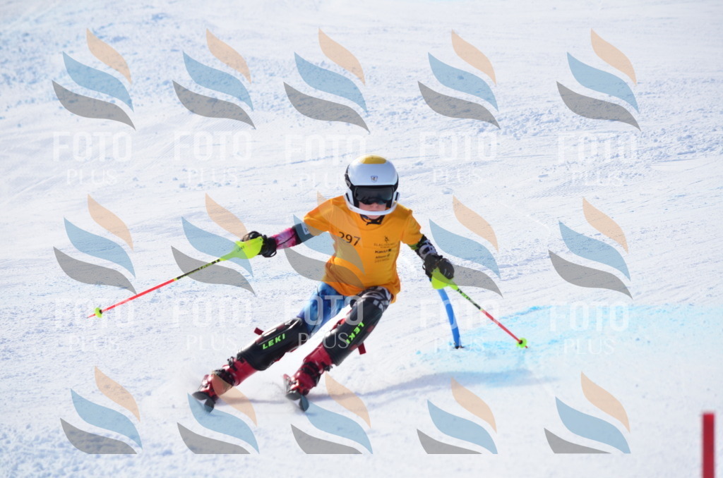 C8735 | holidayphoto