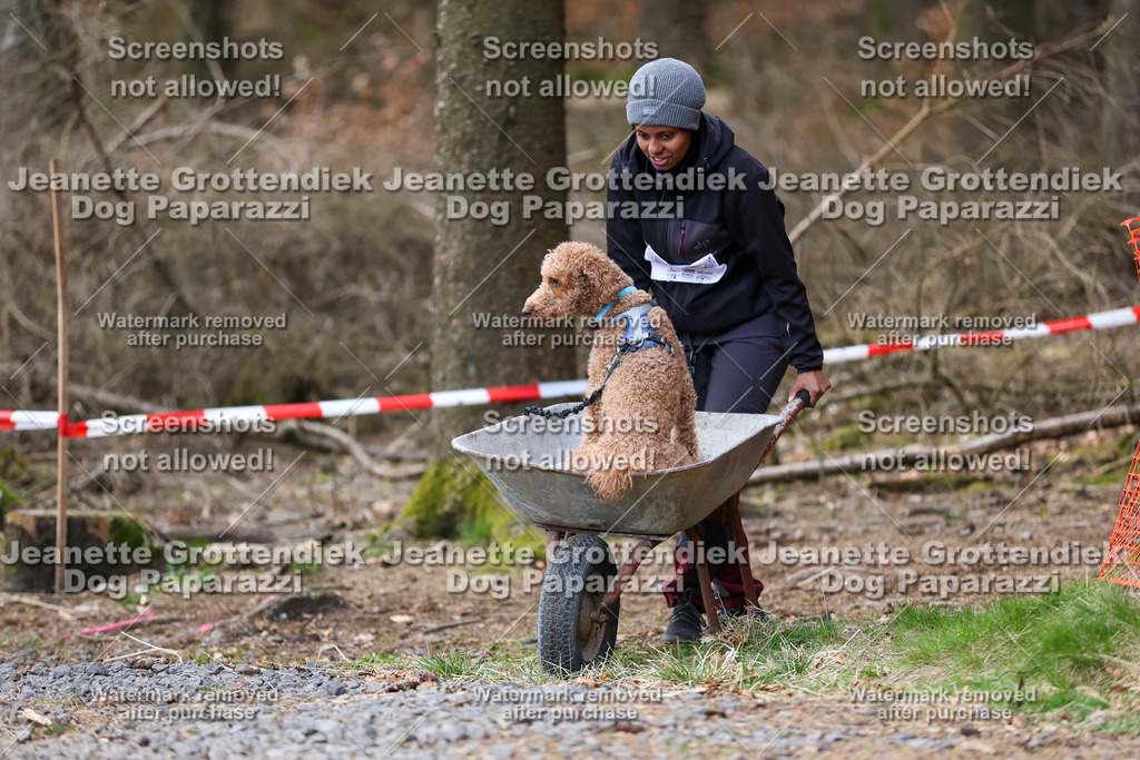 Dog Paparazzi - VCC26-837 | Dog Paparazzi Jeanette Grottendiek Fotografie & Videografie - Realisiert mit Pictrs.com