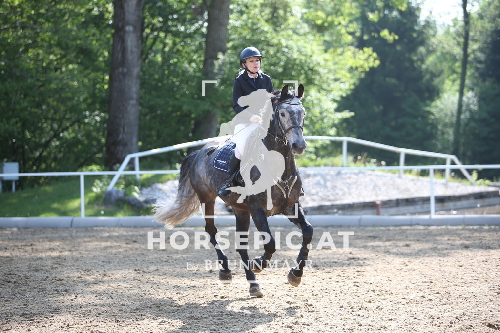 PP019231 | Willkommen bei Brunnmayr - Design & Fotografie – Ihrem Spezialisten für Reitturniere und Pferdeveranstaltungen in Oberösterreich, Salzburg und Bayern! Seit über 17 Jahren sind wir leidenschaftlich dabei.