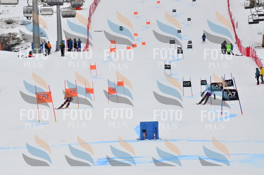 _ELE3694 | holidayphoto