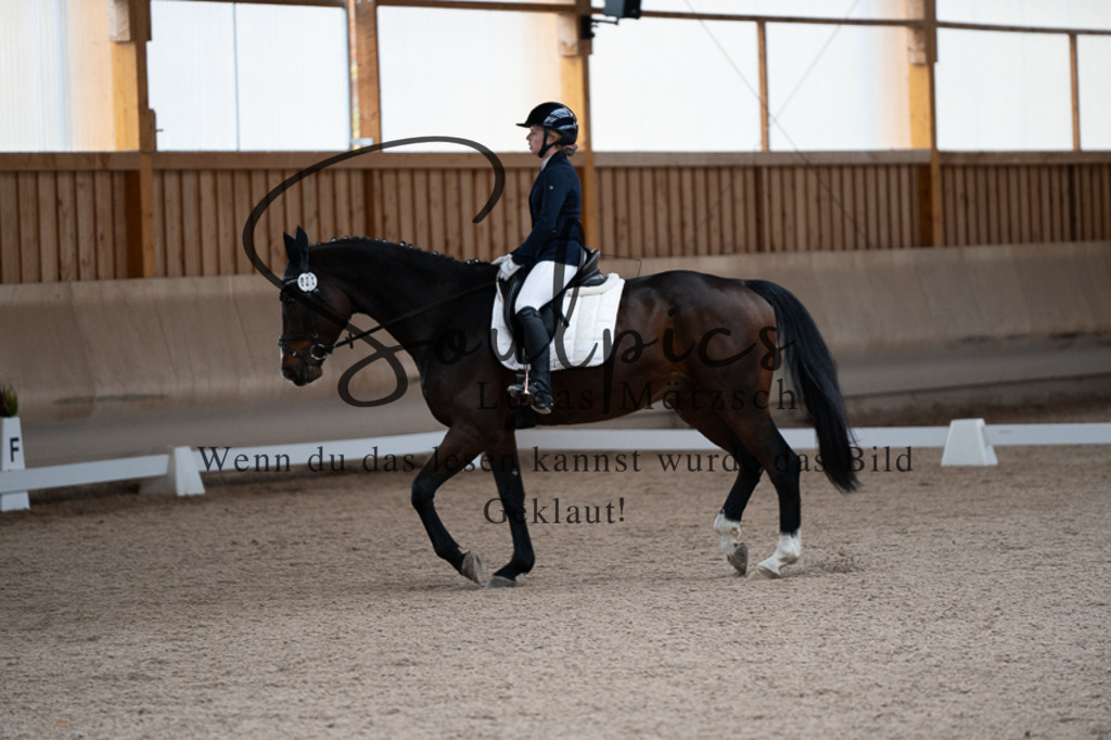 A7V02585 | Pferdefotograf