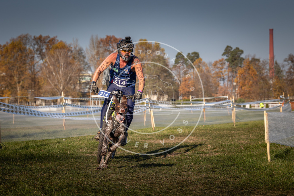 CaniXpix_0L8A6429 | Hundefotografie, Tierfotograf, Pfotenfotografie, Fotoshooting Hund, Hunde Portrait, Hundesport, Hundeportraits, Heideshooting, Hunde, Sportfotograf, Hundefotograf, Turnierhundsport, THS,  - Realisiert mit Pictrs.com