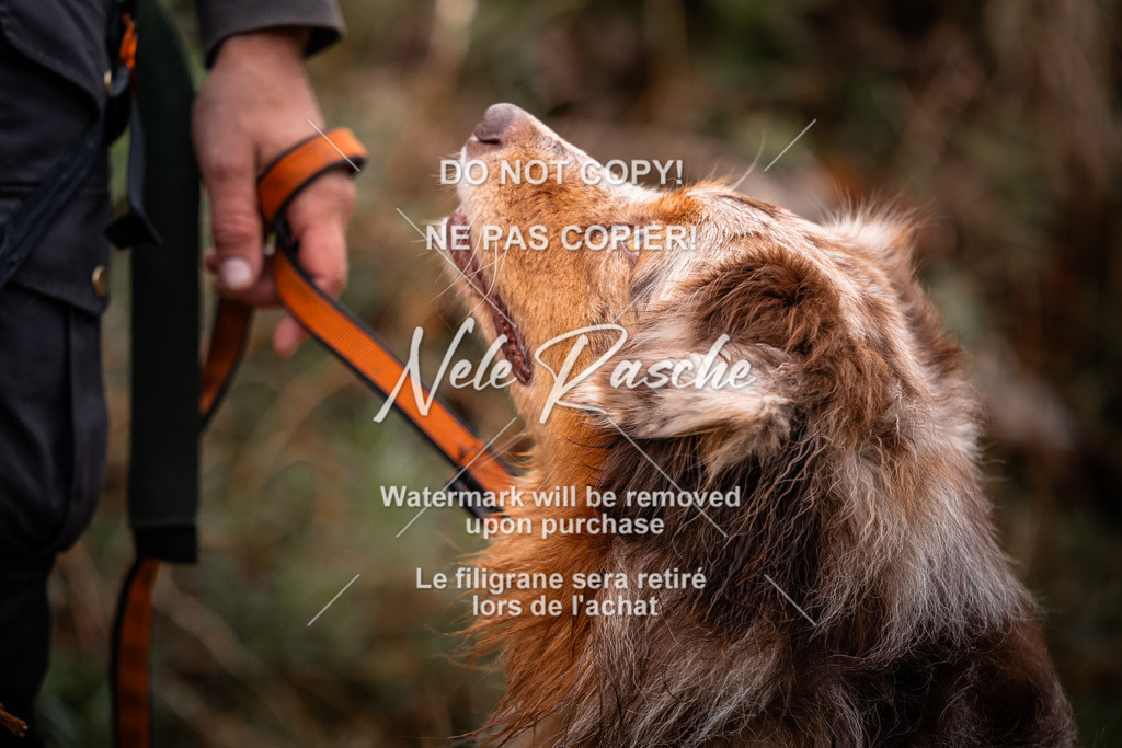 nelerasche_SoUnterwegs_241 | nelerasche