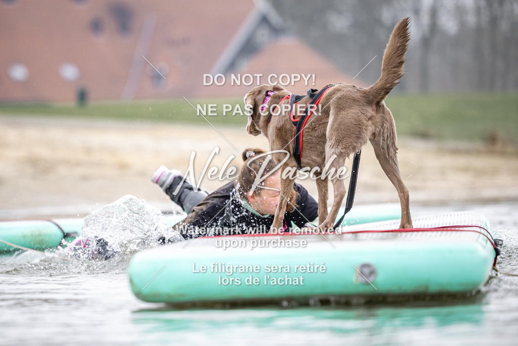 nelerasche_Hulsbeek_Sa1100-1130_336 | nelerasche