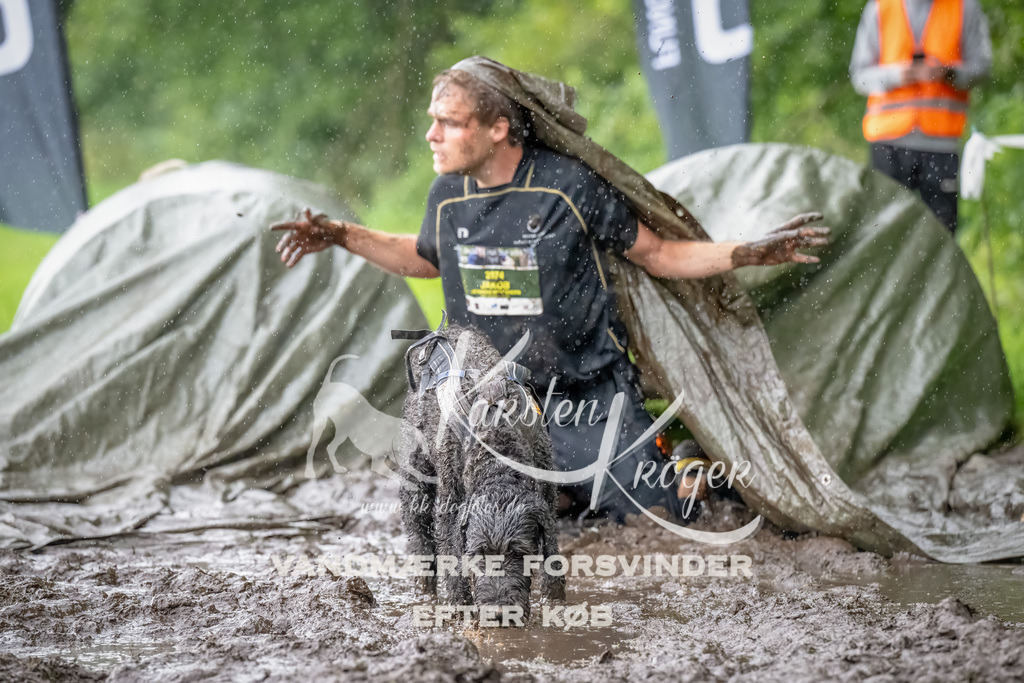 0932_ZZ91187-Bearbeitet | kk-dogfotos