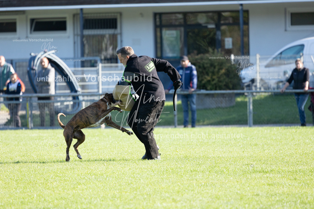 _16A5049 | Einzigartige Fotos von Hunden & Menschen –Actionfotos, Portraits, Vereinsaufnahmen & Paarshootings – authentisch, lebendig & mit Herz.
