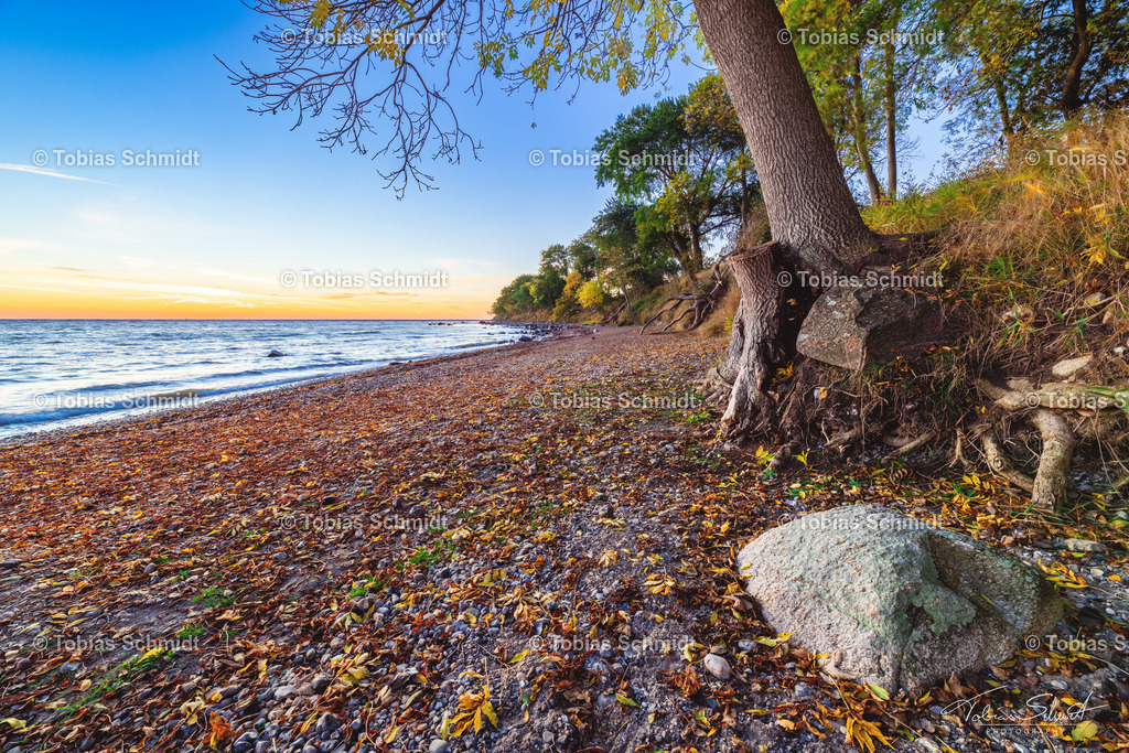 Fehmarn__DSC7866-HDR | Fotoprodukte, Kalender und Wanddeko direkt vom Fotografen auf Fehmarn. Ob Wandbild auf Alu-Dibond, hinter Acrylglas oder auf Leinwand – hier können Sie Ihr Lieblingsbild kaufen. - Realisiert mit Pictrs.com