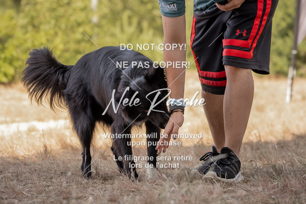 nelerasche_soDD2_334 | nelerasche