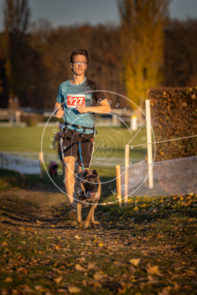 CaniXpix_DV3A5066 | Hundefotografie, Tierfotograf, Pfotenfotografie, Fotoshooting Hund, Hunde Portrait, Hundesport, Hundeportraits, Heideshooting, Hunde, Sportfotograf, Hundefotograf, Turnierhundsport, THS,  - Realisiert mit Pictrs.com