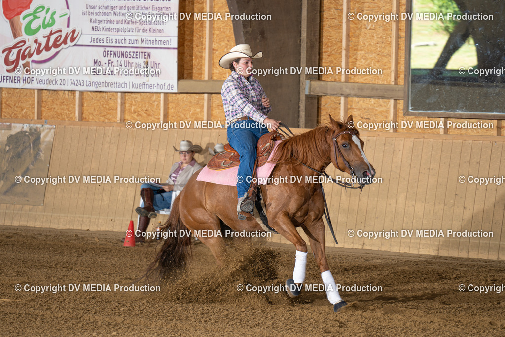 DSC00124 | dv-media-shop - Realisiert mit Pictrs.com