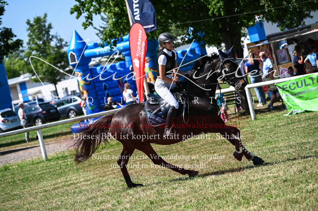 DSC_1109 | Pferde- und Turnierfotografie in Westsachsen. Pferdeportraits, Auftragszeichnungen und intuitive Kunst.