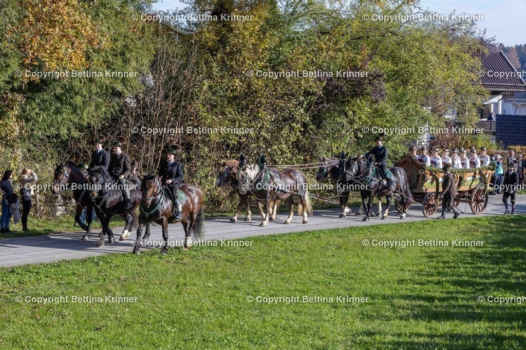 LBT24-461 | foto-bettina-krinner - Realisiert mit Pictrs.com
