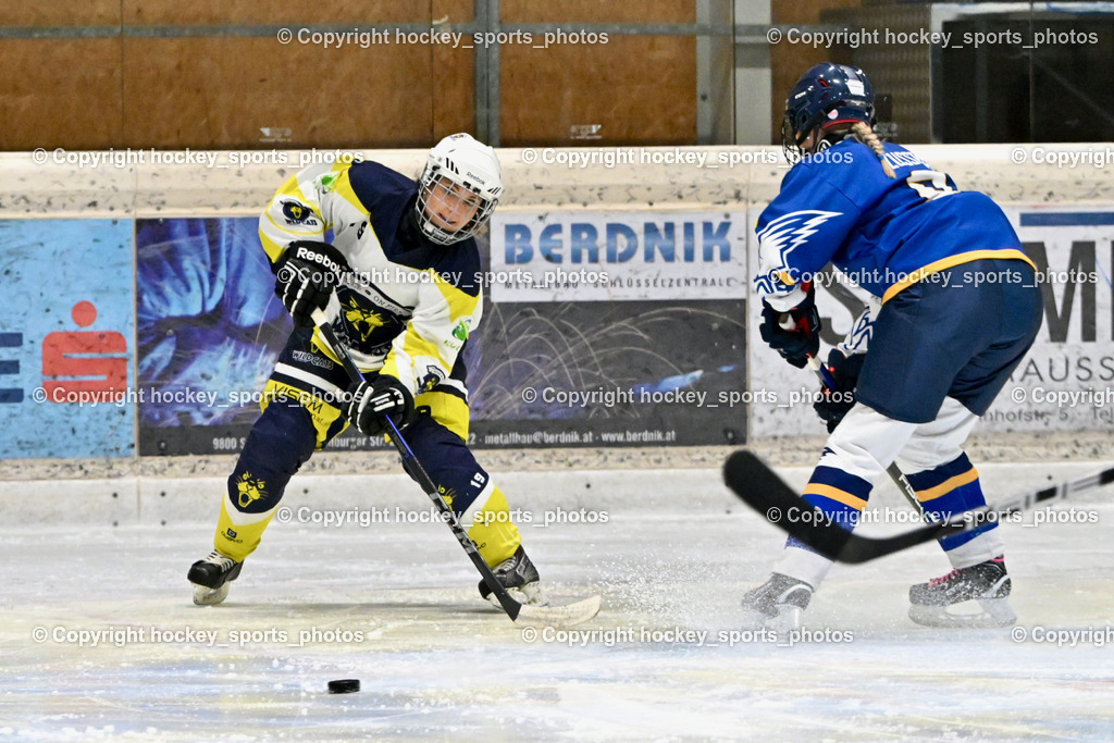 Wildcats Paternion vs. Lady Hawks  | #19 Knes Julia WILDCATS PATERNION, Wildcats Paternion vs. Lady Hawks , Wildcats Paternion vs. Lady Hawks  am 27.01.2025 in Spittal an der Drau (Eissportzentrum Spittal), Austria, (Photo by Bernd Stefan)