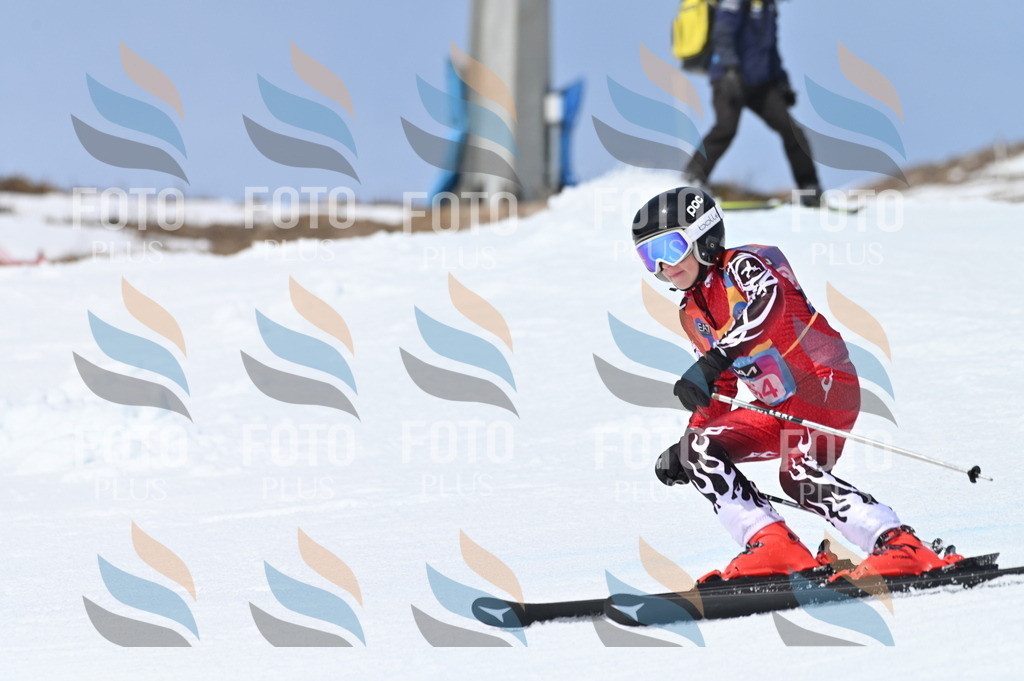 BGV_3727 | holidayphoto