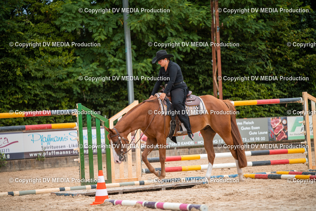 ZS2_8025 | dv-media-shop - Realisiert mit Pictrs.com