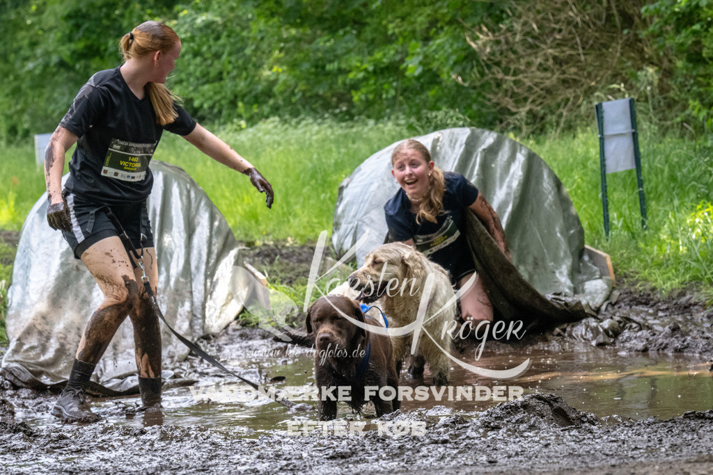 1251_ZZ93901 | kk-dogfotos